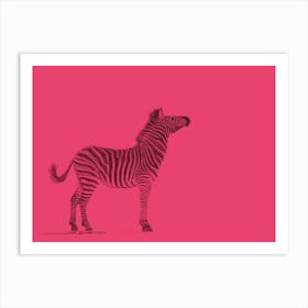 Zebra Pink Handrawn Art Print