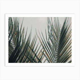 Modern Tropical Plants Art Print