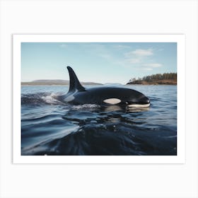 Realistic Photography Of Orca Whale Coming Up For Air 2 Art Print