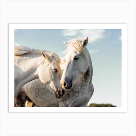 Two Grey Horses Art Print