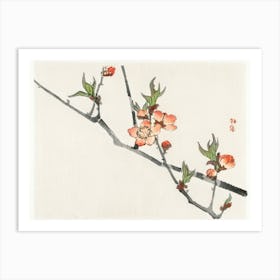 Peach, Kōno Bairei Art Print