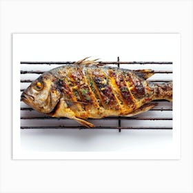 Grilled Fish On Grill Art Print