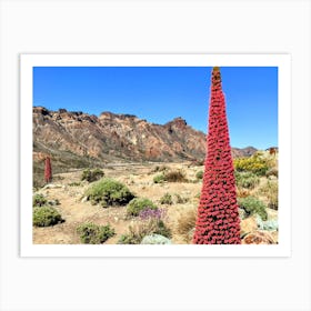 Red Cactus In The Canary Islands (Canary Island Series) Art Print