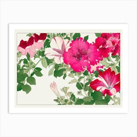 Hibiscus 1 Art Print