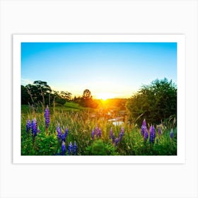 A Bright Sunrise Casting A Luminescent Glow On A Lush Countryside Garden During Summer Awash With P (4) Art Print