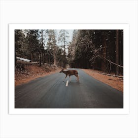 Deer Crossing Road Art Print