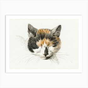 Head Of A Calico Cat With Closed Eyes, Jean Bernard Art Print