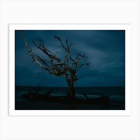 Bluehour Driftwood Beach on Jekyll Island Art Print