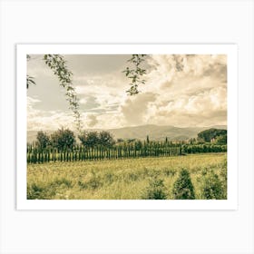 Tuscany Fields Art Print