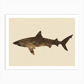 Smallscale Cookiecutter Shark Silhouette 4 Art Print