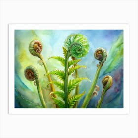 Ferns 1 Art Print