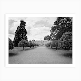 Black And White Image Of A Garden Art Print