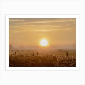 Sunrise and the Cows Art Print