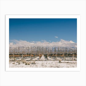 Unitltled 20 - Snow in the Vineyard Series Art Print