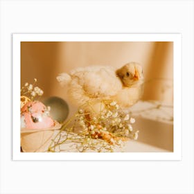 Easter Chick 11 Art Print