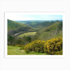 Valley Of The Yellow Flowers Art Print