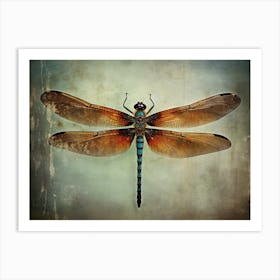 Dragonfly 14 Art Print