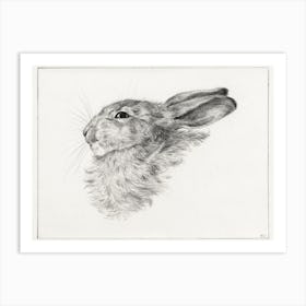 Head Of A Rabbit, Jean Bernard Art Print