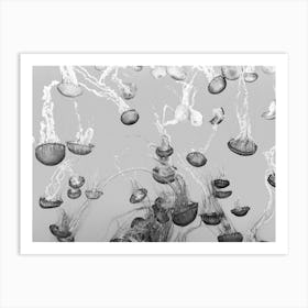Floating Jellyfish Art Print