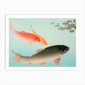 Japanese Ukiyo-E Koi Fish Art Print