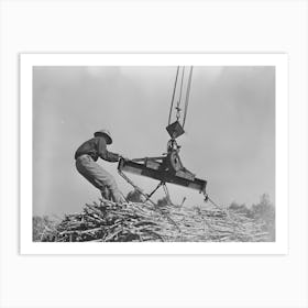 Placing Ropes Into Position For Hoisting Bundles Of Sugarcane At Mill Near New Iberia, Louisiana By Russell Lee Art Print