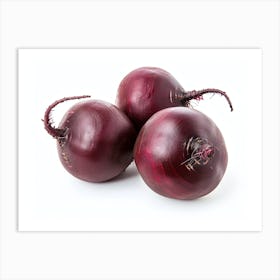 Beets 4 Art Print