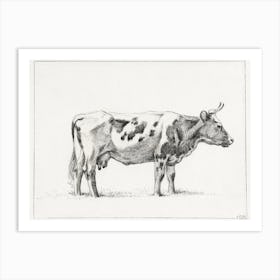 Standing Cow, Jean Bernard Art Print