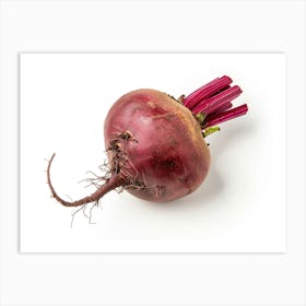 Beetroot isolated on white background. 7 Art Print