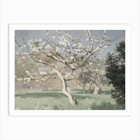 Blossoming Apple Tree 2 Art Print