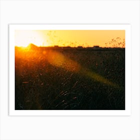 East Coast Sunrise Art Print