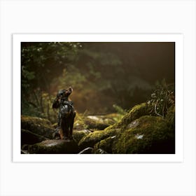 Cocker Spaniel Puppy On Rocks By a River- Scotland Highland UK dog photo print - moody animal photography Art Print