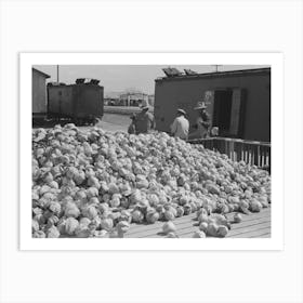 Pile Of Cabbages With Mexican Graders In Background, Alamo, Texas By Russell Lee Art Print