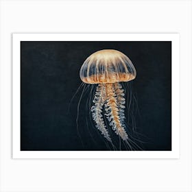 Jellyfish 2 Art Print