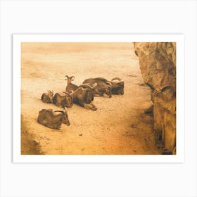 Sandy Mountain Peace Art Print