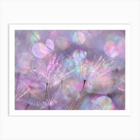 Dandelion 19 Art Print