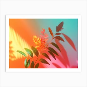 Abstract Rainbow on Wall with Plants Art Print