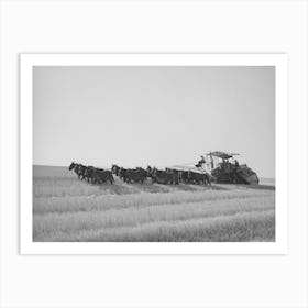 Twenty Mule Drawn Combine In The Wheat Fields Of Walla Walla County, Washington By Russell Lee Art Print