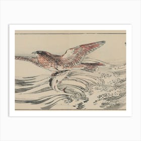 Japanese Hawk Art Print