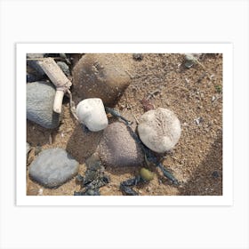 Sand And Shells Art Print