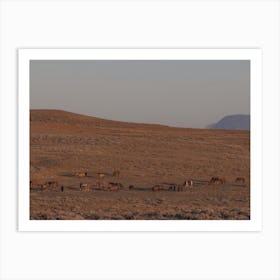 Horse Herd On Hillside Art Print