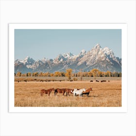 Grand Teton Horses Art Print