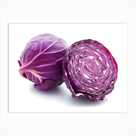 Red Cabbage (11) Art Print