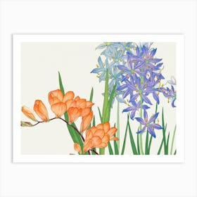 Hyacinths Art Print