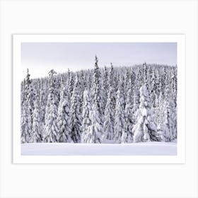 Snowy trees in Sjusjøen, Norway 1 Art Print