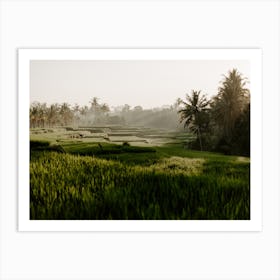 Bali Rice Fields Photograph, 10 Art Print