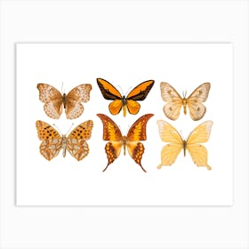 Collection Of Six Cream Colored Butterflies Art Print