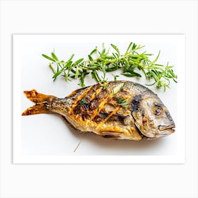 Grilled Fish With Thyme Art Print