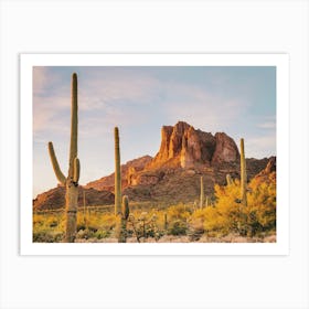 Sonoran Desert Scenery Art Print