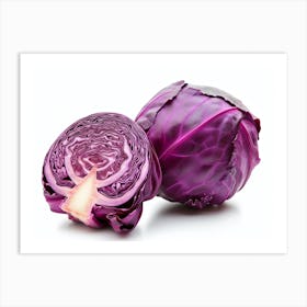 Red Cabbage (15) Art Print