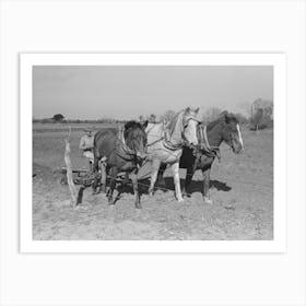 Untitled Photo, Possibly Related To Farmer Discing Land, Weslaco, Texas, Fsa (Farm Security Administration) Art Print